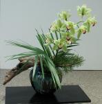 41 - Kyoko Kosaki.jpg 4.7K